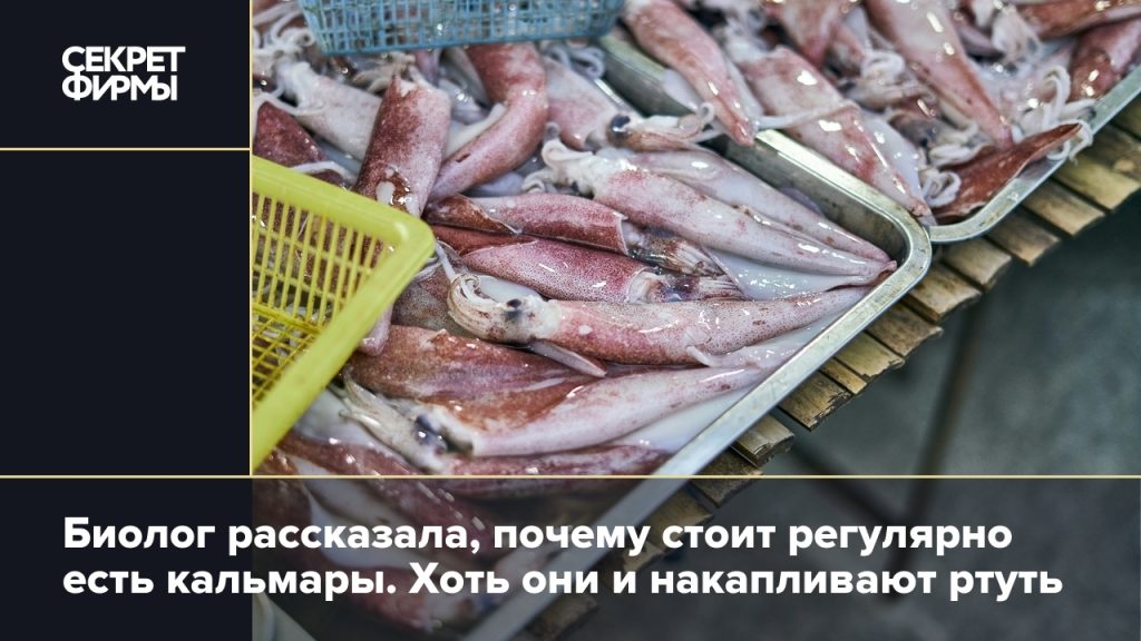 Кальмары: Калорийность, ПЖЖ, Польза и Вред