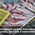 Кальмары: Калорийность, ПЖЖ, Польза и Вред