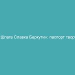 «Шпага Славка Беркути»: паспорт твору