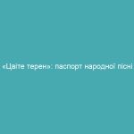«Цвіте терен»: паспорт народної пісні