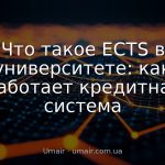 Что такое ECTS в университете: как работает кредитная система