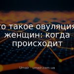 Что такое овуляция у женщин: когда происходит