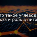 Что такое углеводы: польза и роль в питании