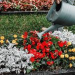 Естетика та функціональність у меморіальному ландшафті: створення місця спокою та вшанування